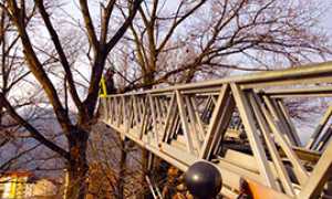 corta vigili fuoco alberi scala