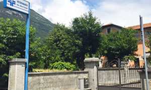 corta violetti veterinario sede