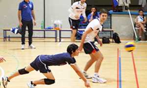 corta volley tuffo bistrot