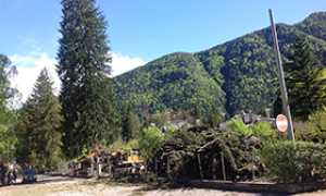 corto santa maria maggiore taglio alberi