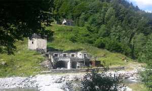 craveggia