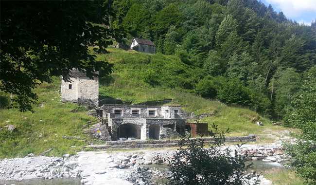 craveggia