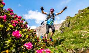 dfb6dcb9 ed2e f63f fdcd ef0783bcf5d8