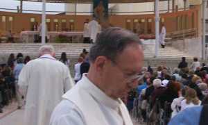 don medjugore armando