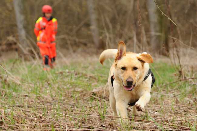 esercitazione anpas1