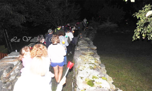 festa assunta borgone 20