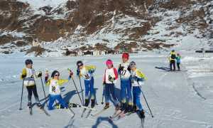 fondo circuito provincilae