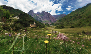 formazza riale primavera fiore diga