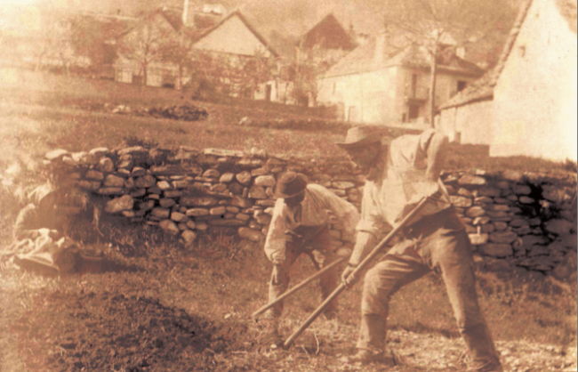 fornara foto campo fieno