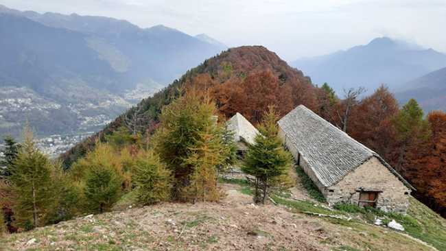 fracchia bassetta fabbri