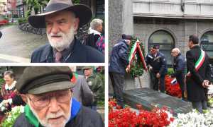 fradelizi sgrena pizzi