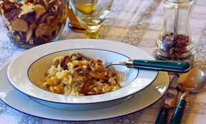 funghi risotto