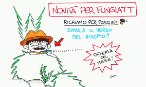 fungiatt sapo