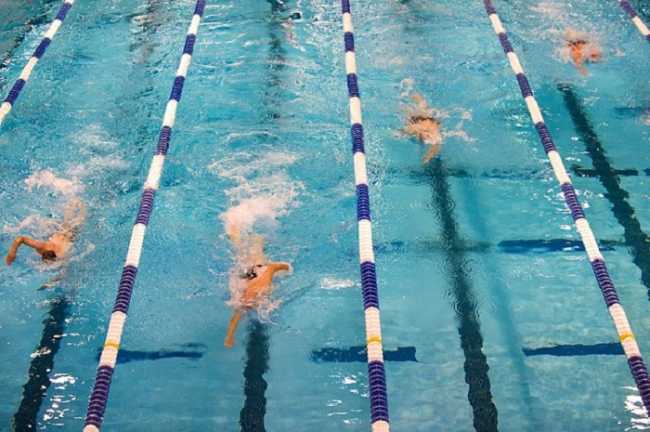 gara di nuoto