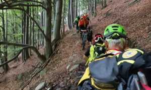 giorno bosco sentiero salita filaindiana