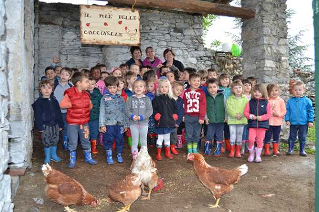 il pollaio delle coccinelle crevola DSC 0006