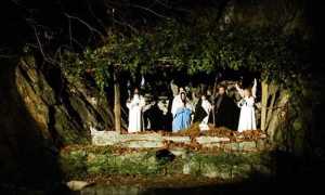 img 66427 O 28 248 0 0 9c548d71ffff0c5dcae8217cf760e695