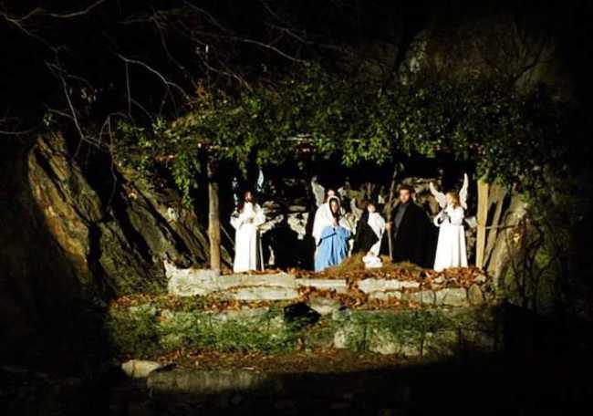 img 66427 O 28 248 0 0 9c548d71ffff0c5dcae8217cf760e695