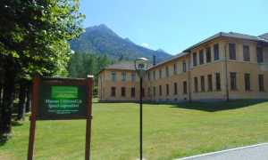 inaugurazione viva01 1024x768