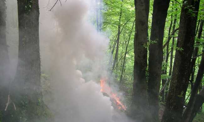 incendio bosco