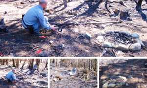 incendio rilievi bosco mix