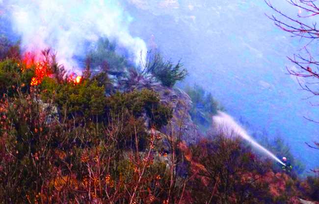 incendio vigezzo fuoco vigile