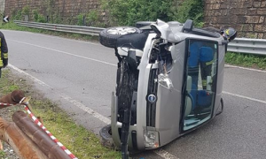incidente eunta ornavasso panda grigio