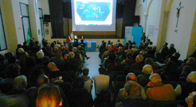 inteconncetor riunione piedimulera marzo 17