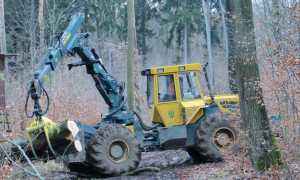 lavoratori forestali