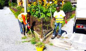 lavoro migranti vogogna