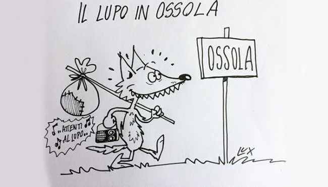 lupo vignetta lux