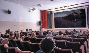 malescorto 2022 festival internazionale di cortometraggi 13 