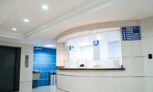 martha dominguez de gouveia nMyM7fxpokE unsplash