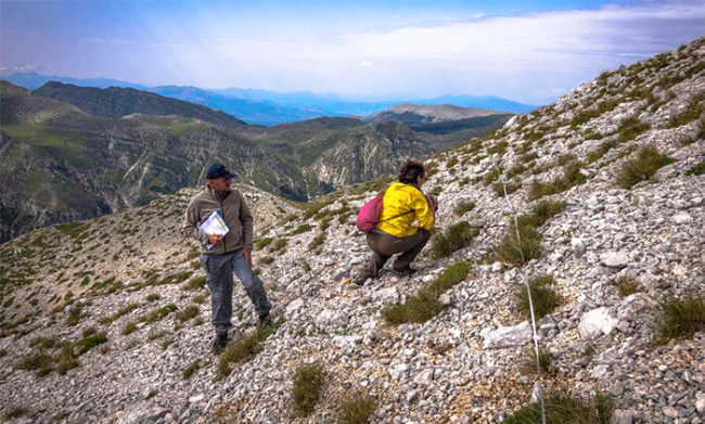 montagbna percorso LTER