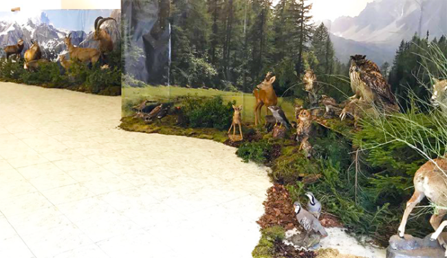 mostra ANIMALI SELVATICI CACCIA FABBRICA 18