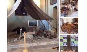 mostre sagra fungo trontano 17