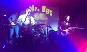 mr egg band concerto