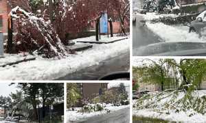 neve aprile alberi domo mix 19