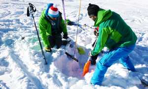 neve valanga soccorso pala