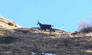 okScreenshot 2025 11 23 alle 09.14.34