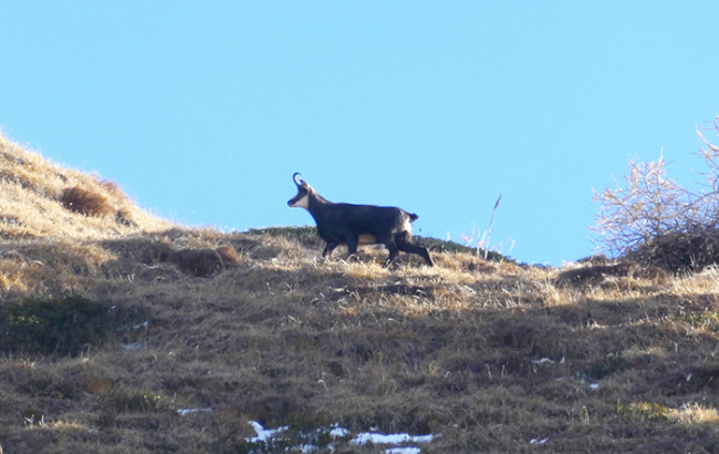 okScreenshot 2025 11 23 alle 09.14.34