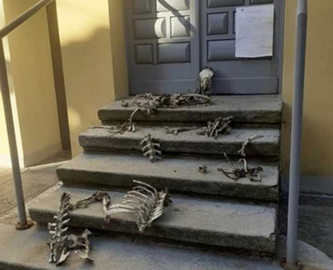 ossa scale comune craveggia