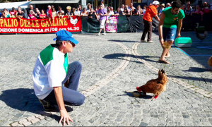 palio galline 17 villa 1