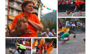 palio galline villa 17 mix