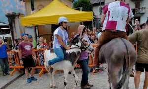 palio premnosello asini 23