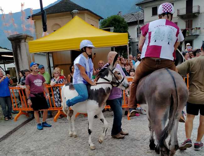 palio premnosello asini 23