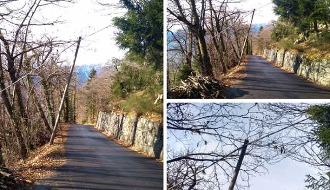 palo montecrestese filo mix doc 18