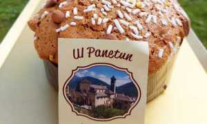 panettone a vagna