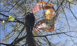 parapendio albero lusentino