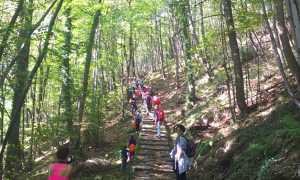 passeggiata enogastronomica domo 17 mulattiera bosco sentiero